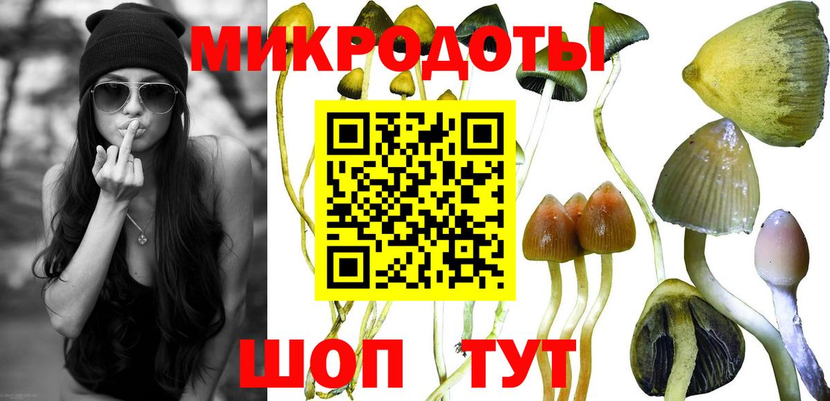 Галлюциногенные грибы MAGIC MUSHROOMS Хасавюрт